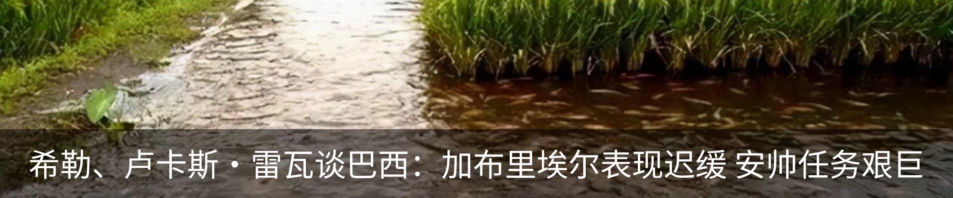 内页banner